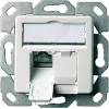 Módulo de ligação de dados Telegärtner AMJ45 Cat5e 2xRJ45 blindado branco