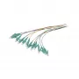 Synergy 21 pigtail de fibra ótica LC 50/125 µm OM3 2 m pack de 12 colorido