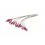 Synergy 21 pigtail de fibra ótica LC 50/125 µm OM4 2 m pack de 12 colorido