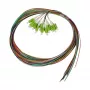 SYNERGY21 Pigtail LC 50/125µm OM5 2m pack de 12 cabo interior com código de cores