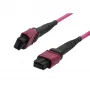 Cabo patch de fibra ótica SYNERGY21 OM4 Low Loss Elite 12 fibras Type B cruzado MTP fêmea - Erika Violet - 0,5 m