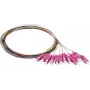 Synergy 21 S215524 Pigtail de Fibra Ótica SC OM4 2m 12-Pack Colorido