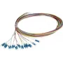 Synergy 21 S215475V2 Pigtail de fibra ótica 2 m LC/UPC OS2 pack de 12 colorido