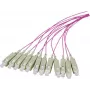 EFB Elektronik Pigtail de Fibra SC OM4 50/125 µm Erika Violet 2 m