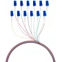 EFB Elektronik Conjunto de pigtails de fibra LC 9/125 OS2 12 cores 2m - Conjunto de cabo/adaptador - Singlemode ou Monomode
