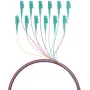 EFB Elektronik Conjunto de pigtails de fibra LC 50/125 OM3 12 cores 2m - Conjunto de cabo/adaptador - Multimode