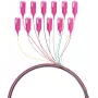 EFB Electronics Conjunto de pigtails de fibra SC 50/125 OM4 12 cores 2m - Conjunto de cabo/adaptador - Singlemode ou Multimode