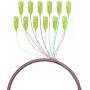 EFB Electronics Conjunto de pigtails de fibra SC 50/125 OM5 12 cores 2m - Conjunto de cabo/adaptador - Singlemode ou Multimode
