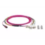 EFB-Elektronik Cabo de patch matricial MTP-F/LC 8 fibras OM4, LSZH, violeta Erika, 10m