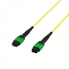EFB Elektronik MTPF12MTPFOS2-7.5 - 7,5 m - OS2 - MTP - MTP