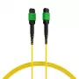 EFB Elektronik MTPF12MTPFOS2-7.5-A Cabo de rede de fibra ótica 7,5 m OS2 MTP fêmea para MTP fêmea