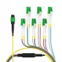 EFB Elektronik MTPF12LCAPC-5 - 5 m - OS2 - MTP - 12x LC Cabo breakout de fibra ótica