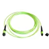 EFB Elektronik MTPF12MTPFOM5-2 Cabo de patch de fibra ótica OM5 MTP para MTP de 2m