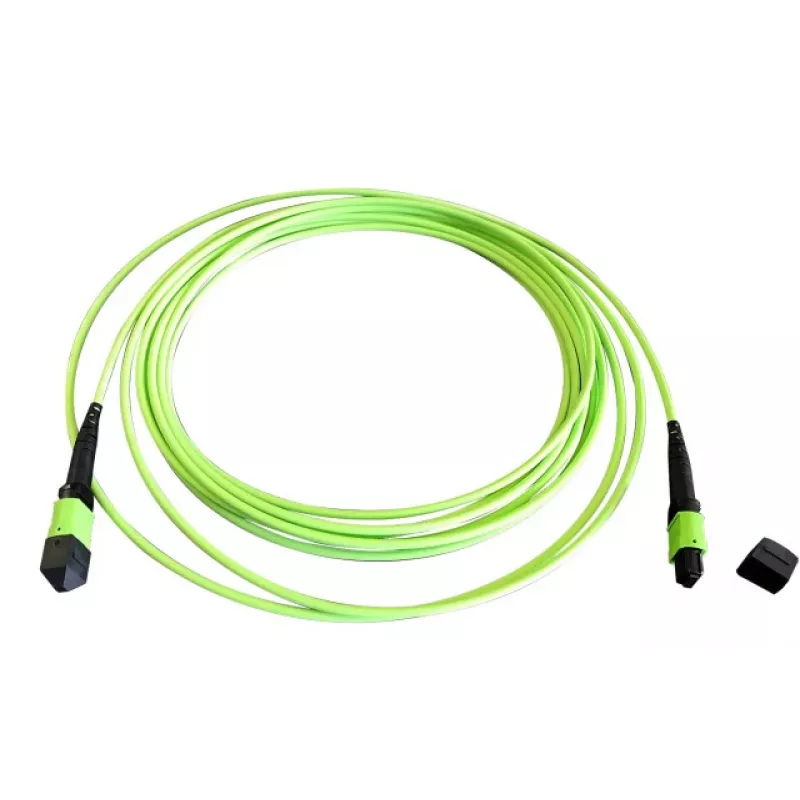 EFB Elektronik MTPF12MTPFOM5-2 Cabo de patch de fibra ótica OM5 MTP para MTP de 2m