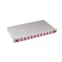 EFB Elektronik B71203L24OM4 caixa de fusão de fibra ótica SC 50/125µm OM4 extraível, 24 pigtails / 12 adaptadores