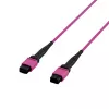 EFB ELEKTRONIK cabo patch MPO-PLUS(F)-MPO-PLUS(F) OM4 12 fibras tipo B LSZH violeta heather 1m
