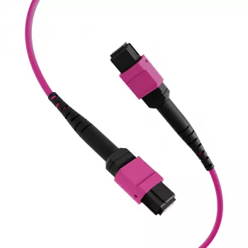 EFB ELEKTRONIK cabo patch MPO-PLUS(F)-MPO-PLUS(F) OM4 12 fibras tipo B LSZH violeta heather 2m