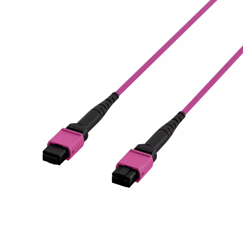 EFB ELEKTRONIK cabo patch MPO-PLUS(F)-MPO-PLUS(F) OM4 12 fibras tipo B LSZH violeta heather 2m