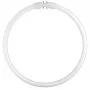 Osram lâmpada fluorescente circular T5 FC22W 840 2GX13
