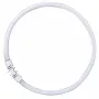 Lâmpada fluorescente circular OSRAM LUMILUX T5 FC 40W 830 2GX13 branco quente 3000K