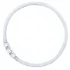 OSRAM LUMILUX T5 FC lâmpada fluorescente circular 55W 865 luz do dia 2GX13