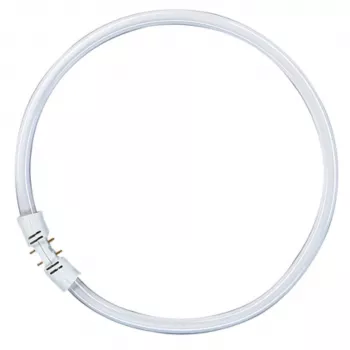 Lâmpada fluorescente circular OSRAM LUMILUX T5 FC 55W 865 luz do dia 2GX13