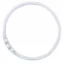 OSRAM LUMILUX T5 FC lâmpada fluorescente circular 55W 865 luz do dia 2GX13