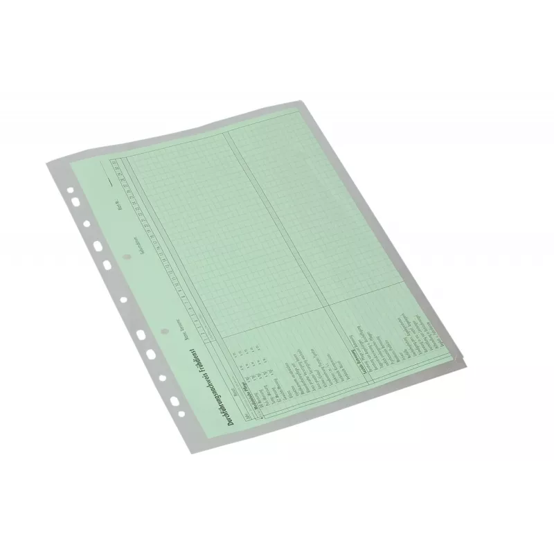 Eichner 10 capas de organização de documentos transparentes lisas A4