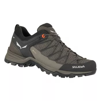 Salewa Sapatos de Caminhada Mountain Trainer Lite GTX