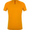 T-shirt SALEWA Wild Country Session 2 - Nectar - tamanho L