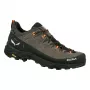 Sapatos de caminhada SALEWA Alp Trainer 2 GTX - Bungee Cord/Preto - UK 9,5 (EU 44)