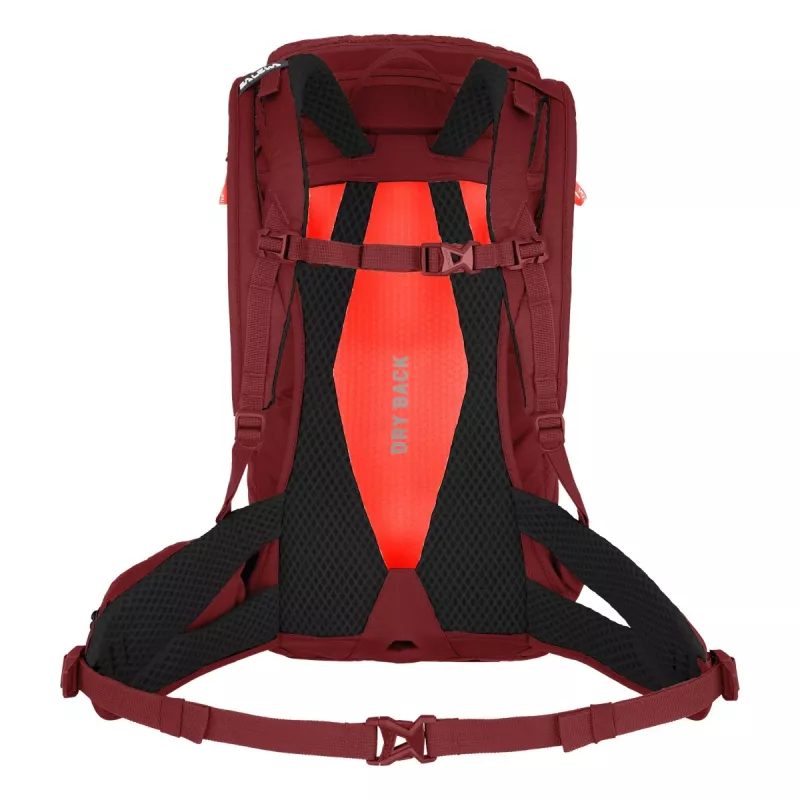 Mochila SALEWA Alp Trainer 20 para mulher Syrah