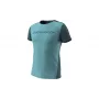 T-shirt SALEWA Alpine Smoke Blue L DYNAFIT