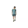 T-shirt SALEWA Alpine Smoke Blue L DYNAFIT