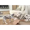 Manta para cão PALOPA Mathilda Maple M