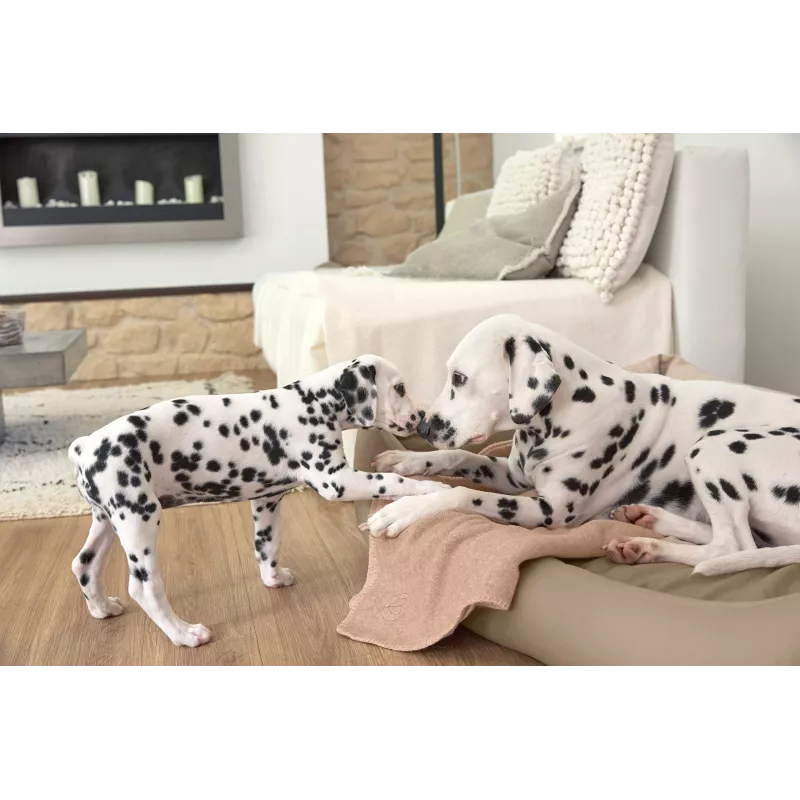 Manta para cão PALOPA Mathilda Maple M