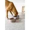 Tigela de comida para cães em porcelana PALOPA Cali taupe