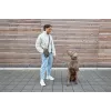PALOPA 2 em 1 bolsa para guloseimas de cão e porta-garrafas Boudi Dark Olive