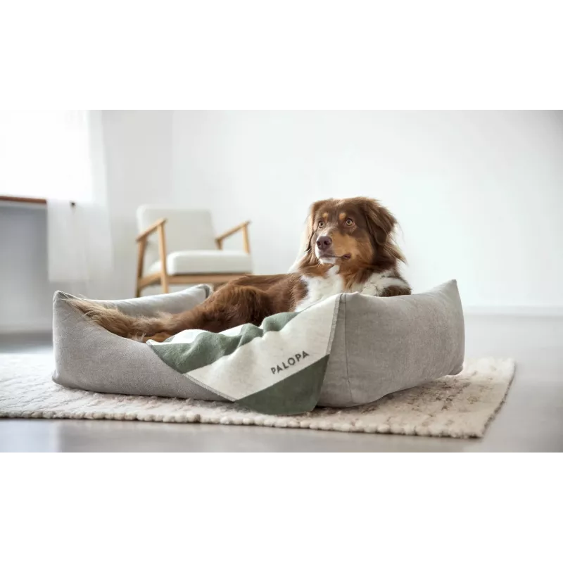 PALOPA Ida M manta para cães às riscas verde-escuro