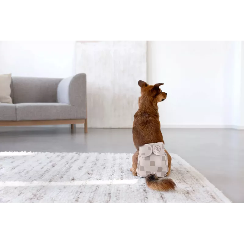 PALOPA Fralda reutilizável para cães para cio e incontinência, Taupe, tamanho M