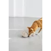PALOPA Kalpi Out Milk brinquedo de cheirar para cães rolo cilíndrico