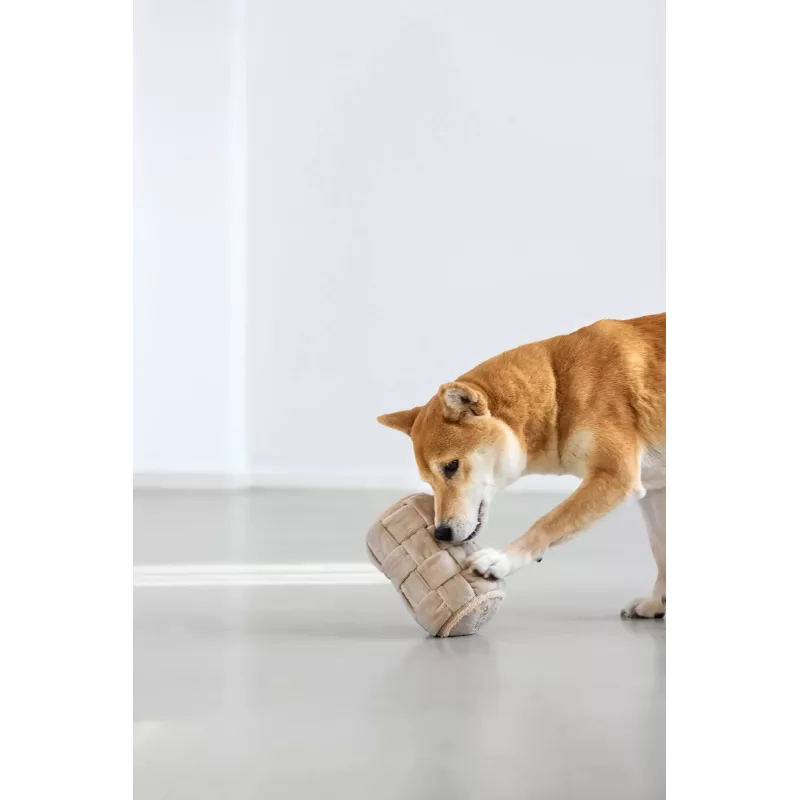 PALOPA Kalpi Out Milk brinquedo de cheirar para cães rolo cilíndrico