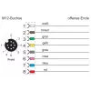 METZ CONNECT 142MKA20050 Cabo de sensor/atuador, M12 fêmea para extremidade aberta, 5 m, cinzento, PVC