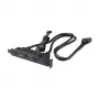 Cabo adaptador interno Akasa USB 3.1 Gen 2 com duas fichas USB 3.0 Type-A - 50 cm - preto