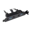 Cabo adaptador interno Akasa USB 3.1 Gen 2 com duas fichas USB 3.0 Type-A - 50 cm - preto