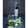 Gastronoma 18210001 Varinha mágica, 1000 W, preto/prateado