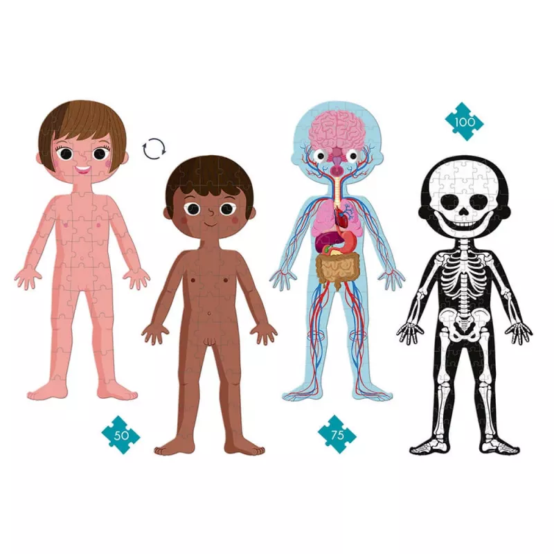 Janod Corpo Humano Conjunto de Puzzles Educativos de 50, 75 e 100 Peças