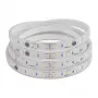 SYNERGY21 fita LED Flex Strip 2835 - 60 NW Pixel DC24V WS2811 IP65