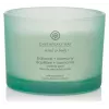 Chesapeake Bay Candle Balance & Harmony vela perfumada grande 3 pavios 312 g