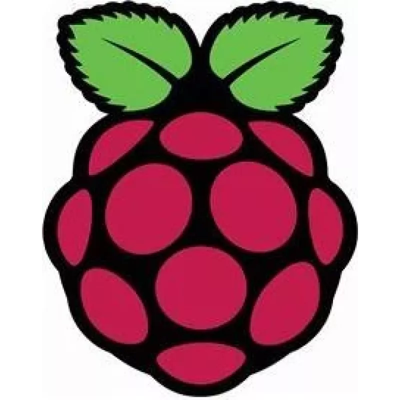 Raspberry Pi Pi - monitor LCD - 39,6 cm (15,6 polegadas) - 1920 x 1080 Full HD (1080p)